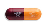 Amoxicillin